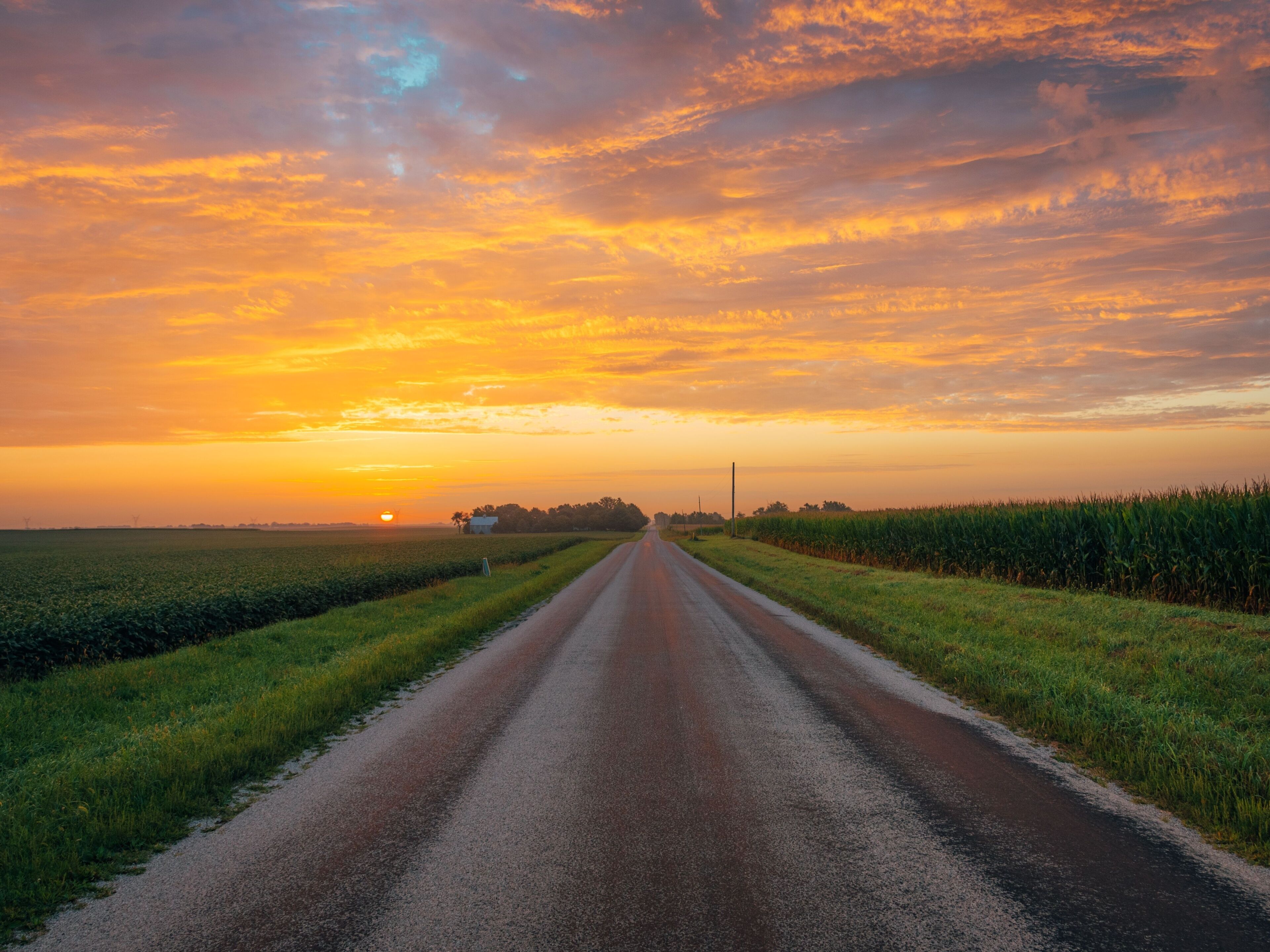 A rural road flanked by fields under a sunset sky.