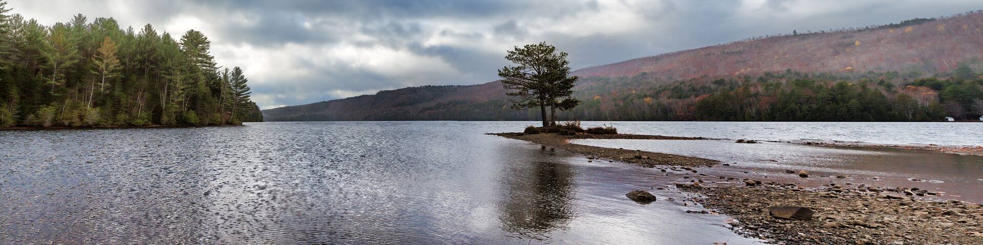 Misty Wyman Lake in Maine late fall with one lone tree below a stormy sky.