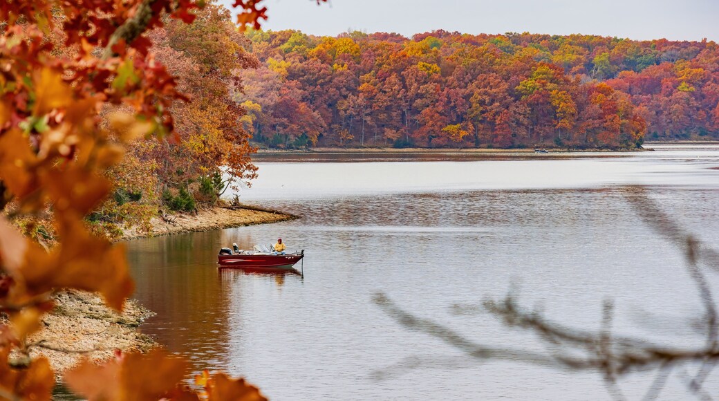 Old man fishing in Lake of the Ozarks state Park