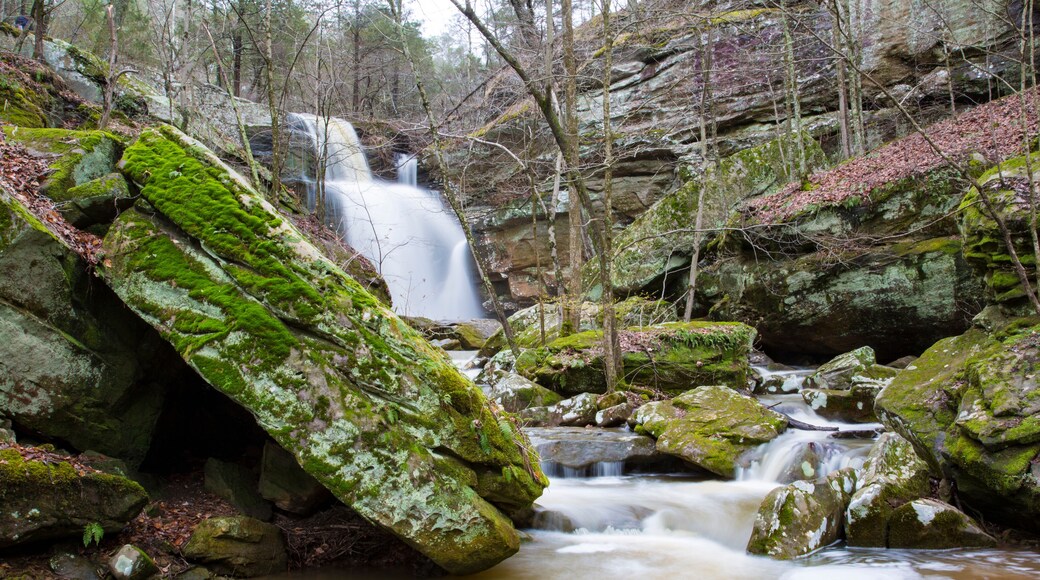 Burden Falls, Shawnee National Forest, Pope County, IL