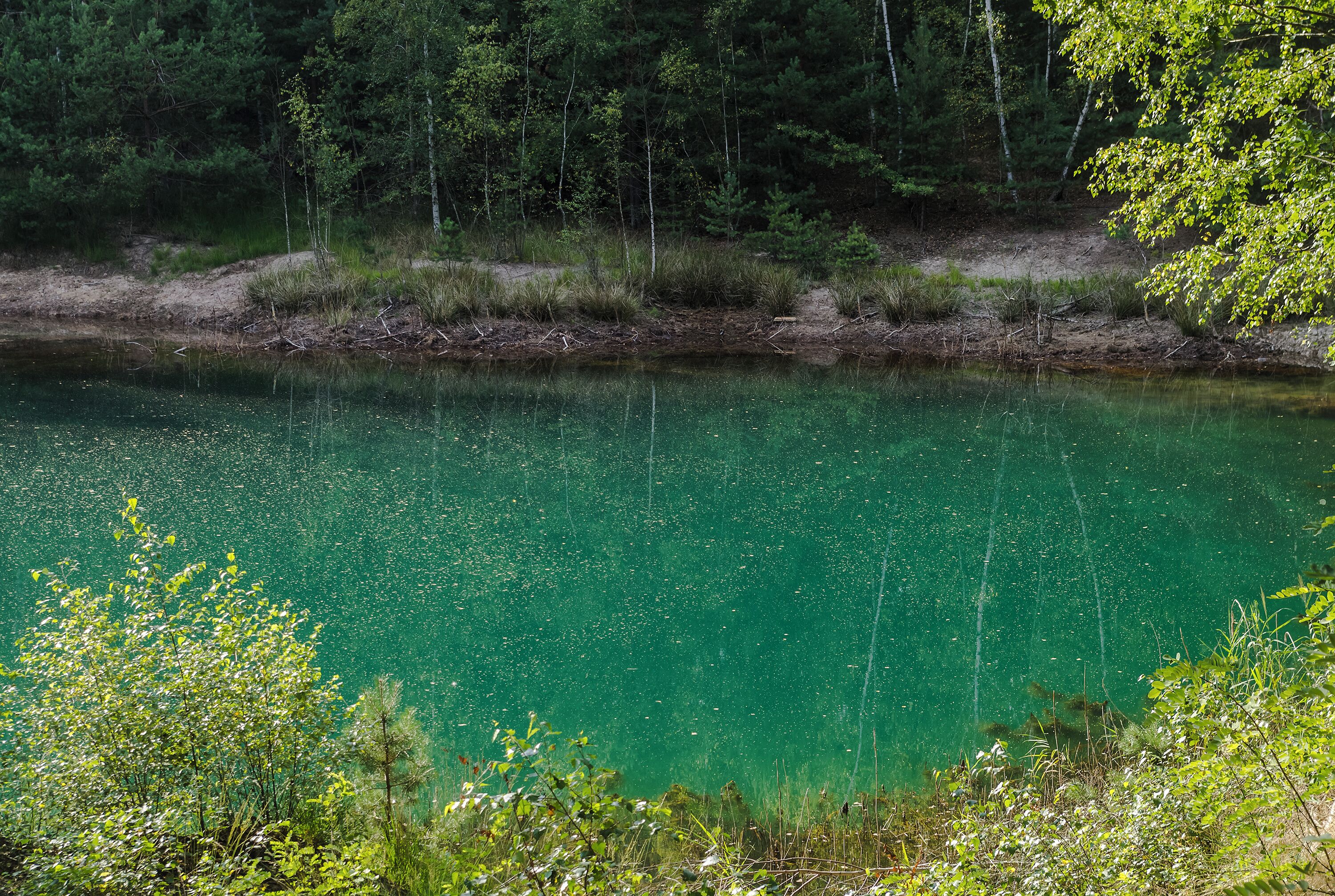 Park krajobrazowy Park Krajobrazowy Łuk Mużakowa.