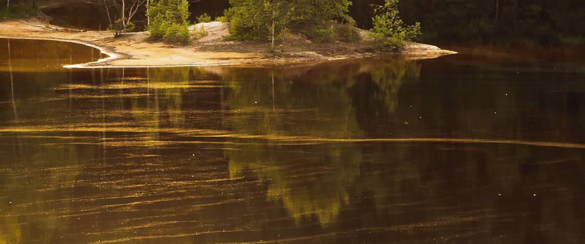 Park krajobrazowy Park Krajobrazowy Łuk Mużakowa.