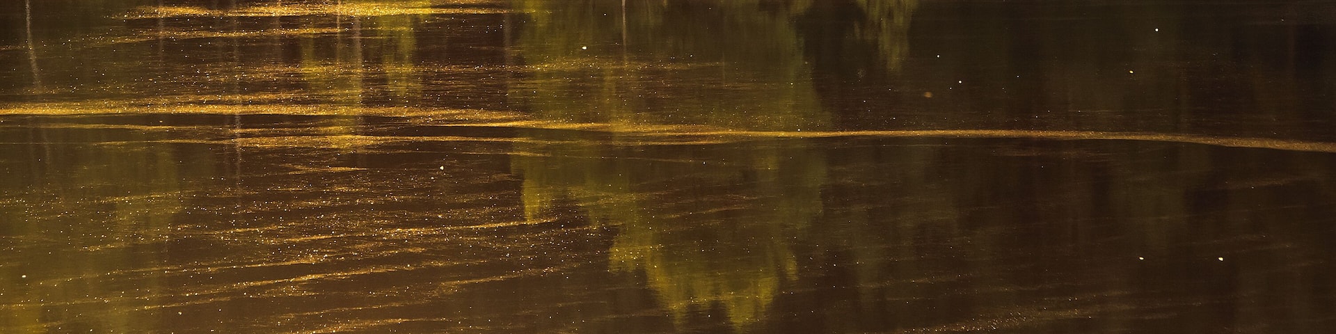 Park krajobrazowy Park Krajobrazowy Łuk Mużakowa.