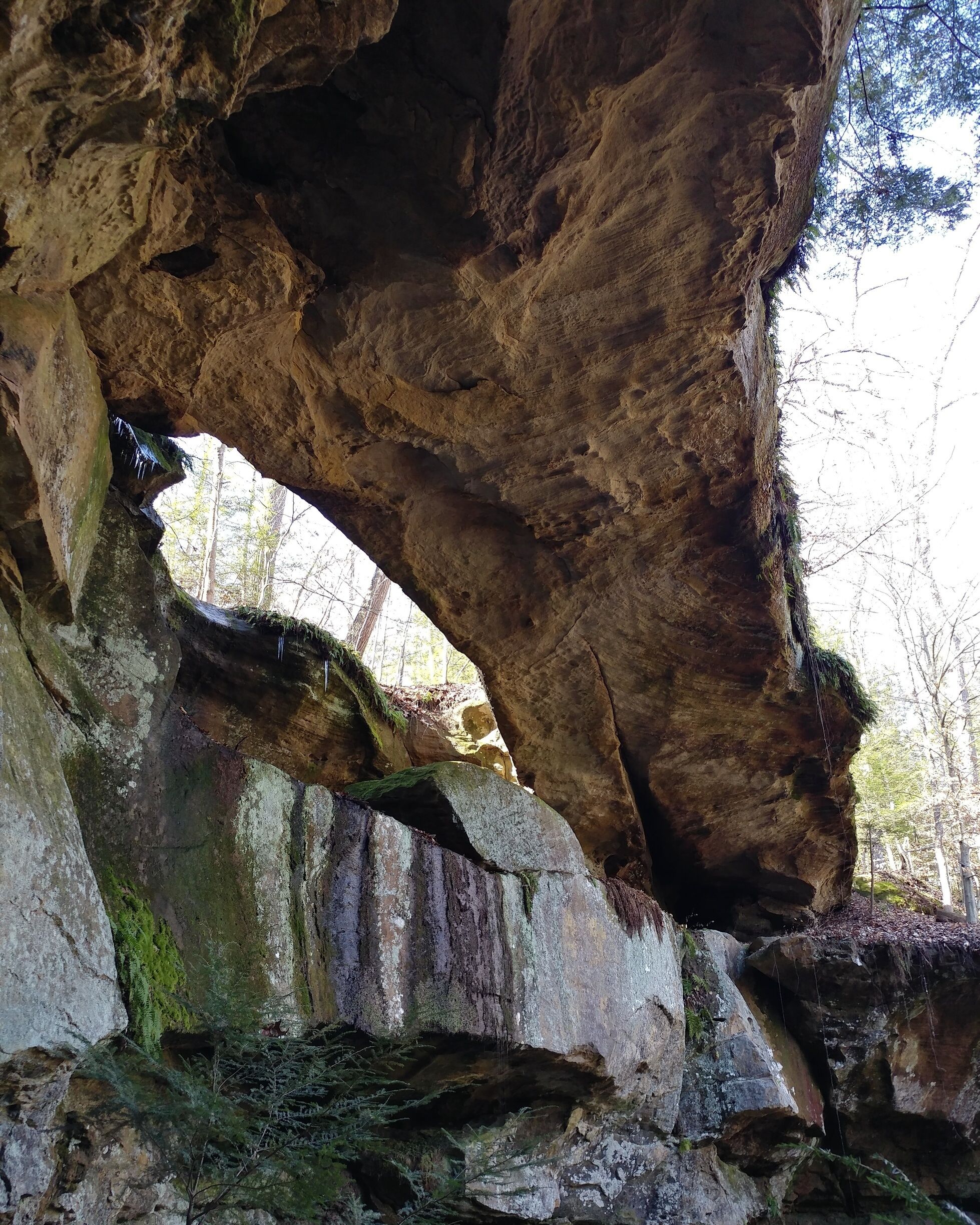 Ladd Natural Bridge is one of the most impressive natural arches in Ohio. The bridgespan is 40 feet long, 12 feet wide and 5 feet thick--strong enough to hold a vehicle. 

In fact, it was once promoted as a tourist attraction that some visitors actually drove their cars over.

The arch is located in Cutler, OH inside a state nature preserve, however the preserve is surrounded by private property. So, in order to visit, the Ohio Department of Natural Resources must be contacted to obtain an access permit. (It's free!)

#FindingtheUniverse