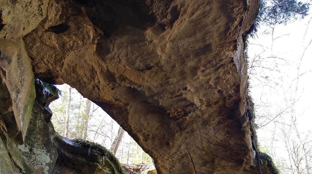 Ladd Natural Bridge is one of the most impressive natural arches in Ohio. The bridgespan is 40 feet long, 12 feet wide and 5 feet thick--strong enough to hold a vehicle.
In fact, it was once promoted as a tourist attraction that some visitors actually drove their cars over.
The arch is located in Cutler, OH inside a state nature preserve, however the preserve is surrounded by private property. So, in order to visit, the Ohio Department of Natural Resources must be contacted to obtain an access permit. (It's free!)
#FindingtheUniverse