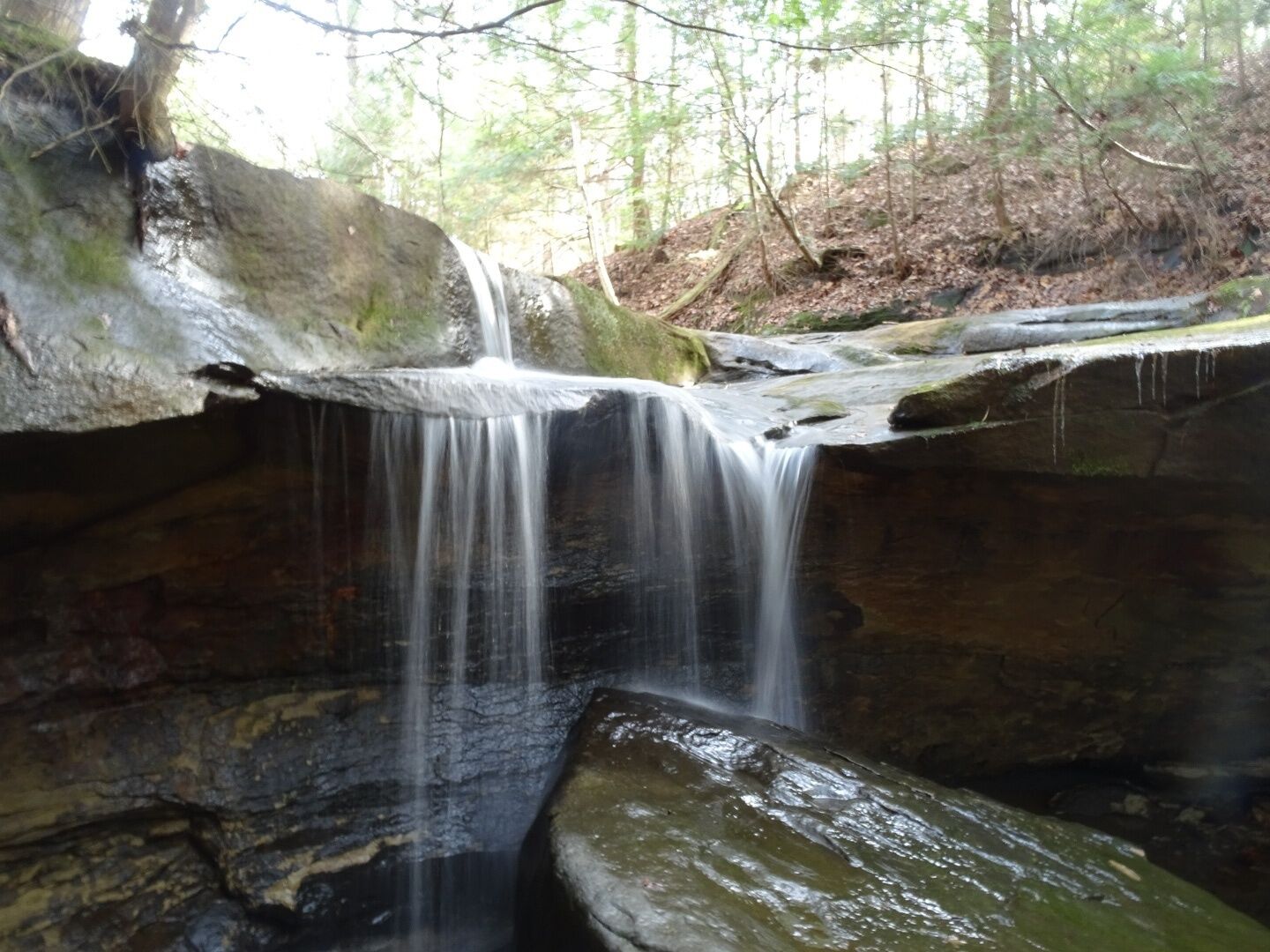 Boord State Nature Preserve has a short 3/4 mile loop trail that meanders through an old pine plantation, into a natural woods and along a creek with a seasonal waterfall.

#FindingtheUniverse