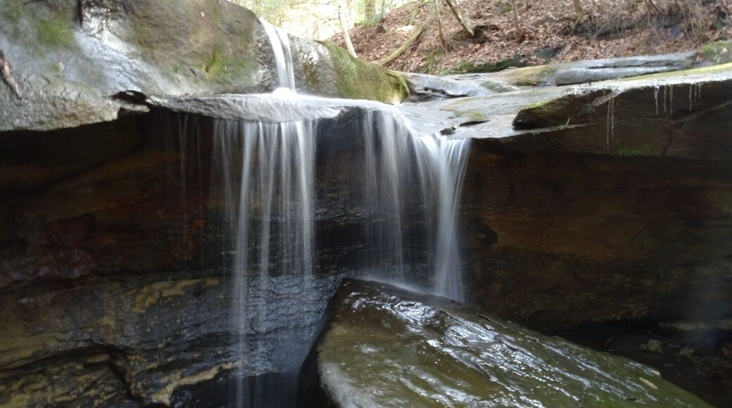 Boord State Nature Preserve has a short 3/4 mile loop trail that meanders through an old pine plantation, into a natural woods and along a creek with a seasonal waterfall.
#FindingtheUniverse