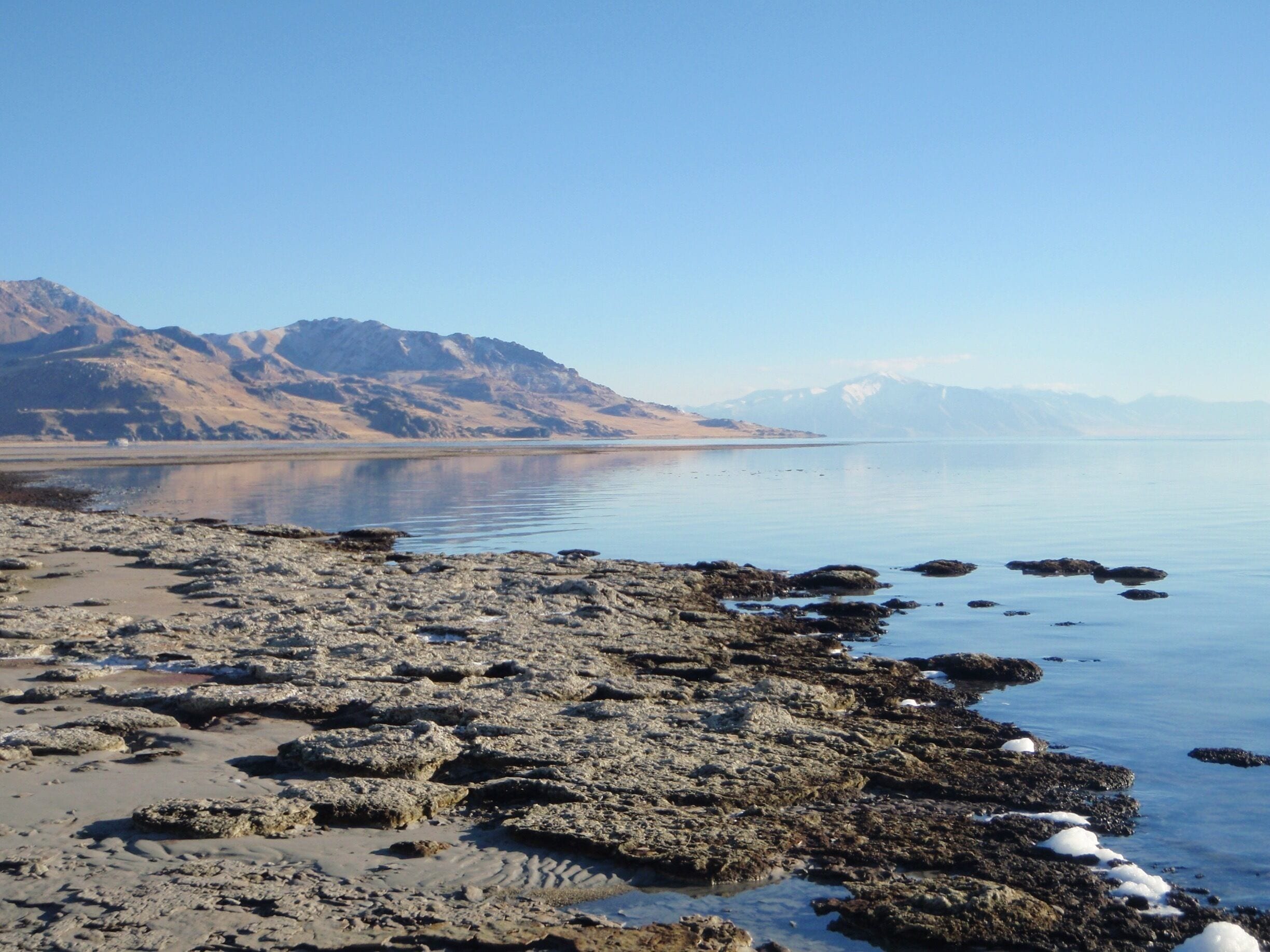 #greatsaltlake #antelopeisland
