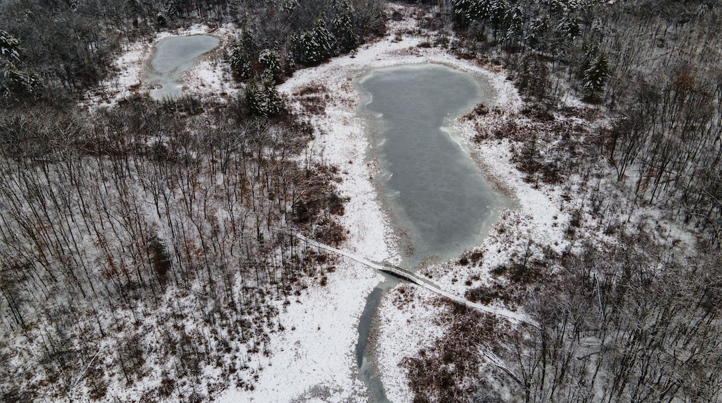A snow-covered landscape with two ponds and a bridge.
