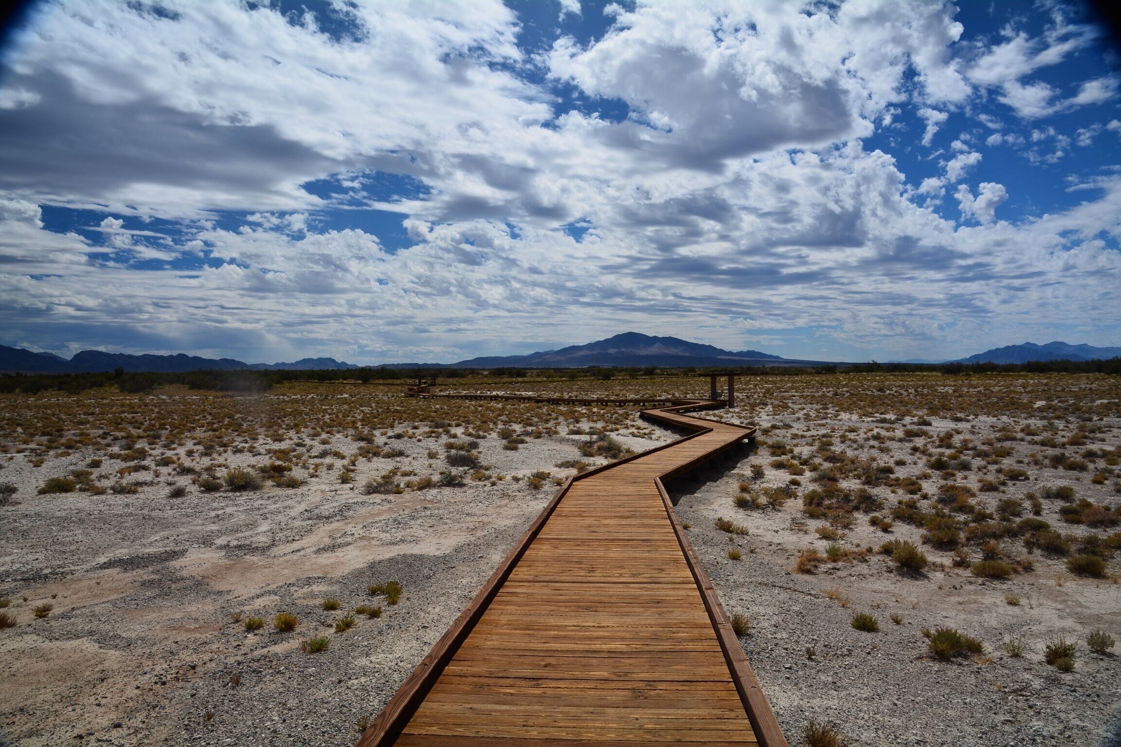 It's a beautiful day for a walk at Ash Meadows just outside of Death Valley. So amazing how lush this area is right next to Death Valley 
