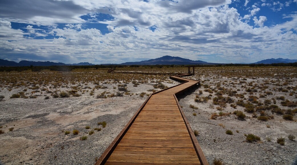 It's a beautiful day for a walk at Ash Meadows just outside of Death Valley. So amazing how lush this area is right next to Death Valley