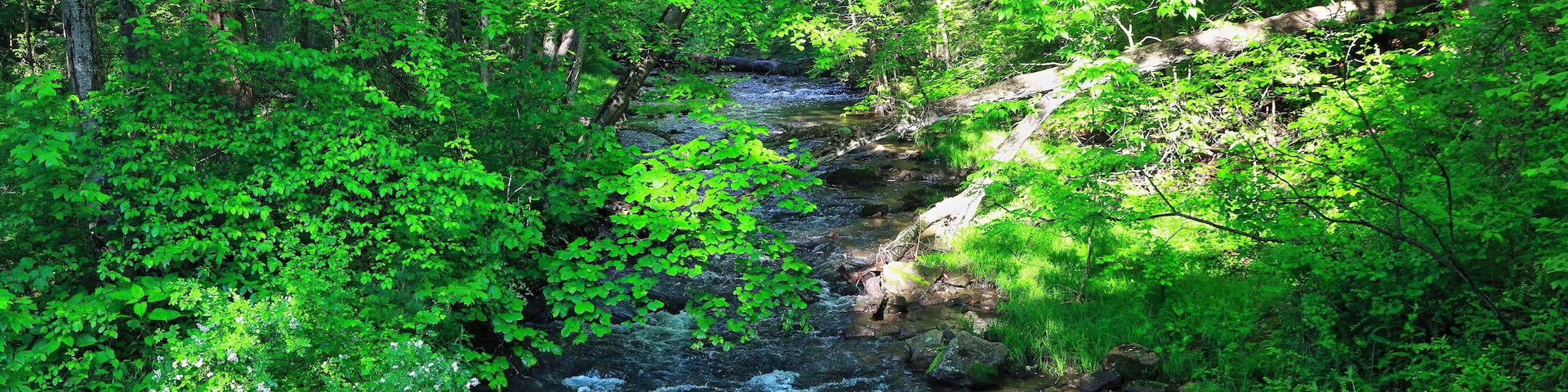 Mountain Stream, Licking Creek Run, Spectacle Gap, Juniata County, Pennsylvania, USA.