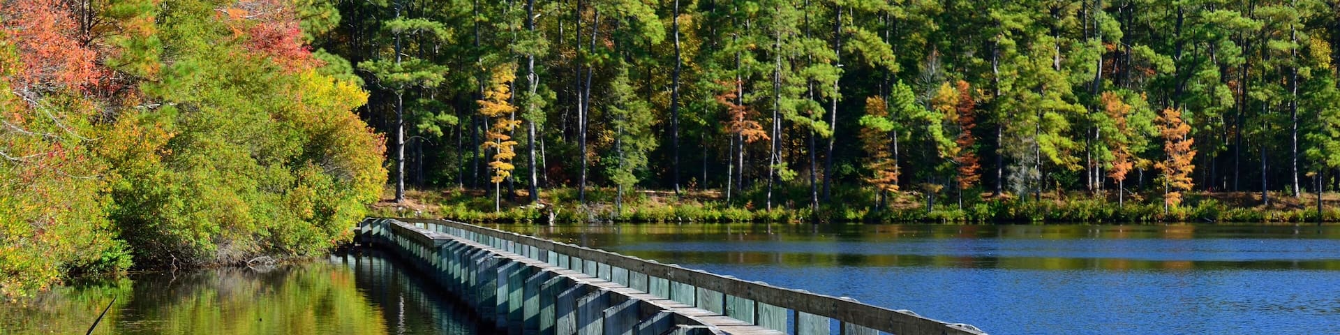 Boardwalk at Lake Juniper