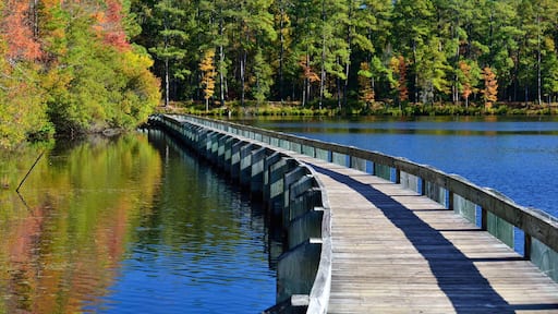 Hartsville