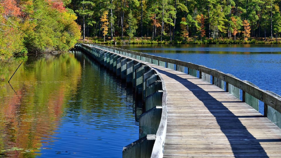 A wooden boardwalk along a calm lake surrounded by trees with autumn foliage.