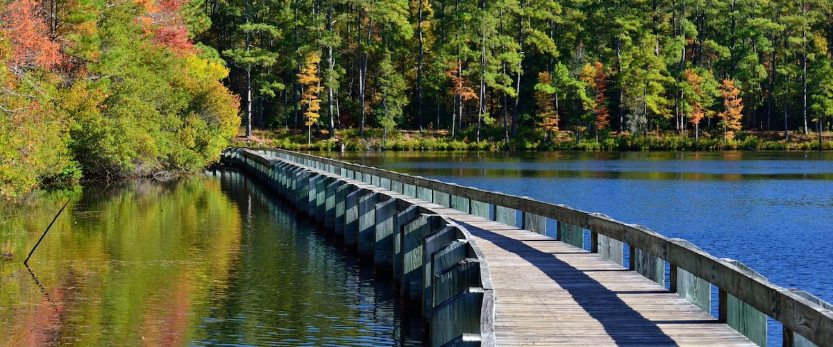 A wooden boardwalk along a calm lake surrounded by trees with autumn foliage.