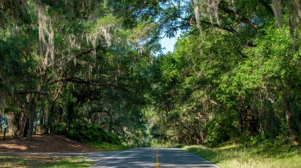 Condado de Jefferson