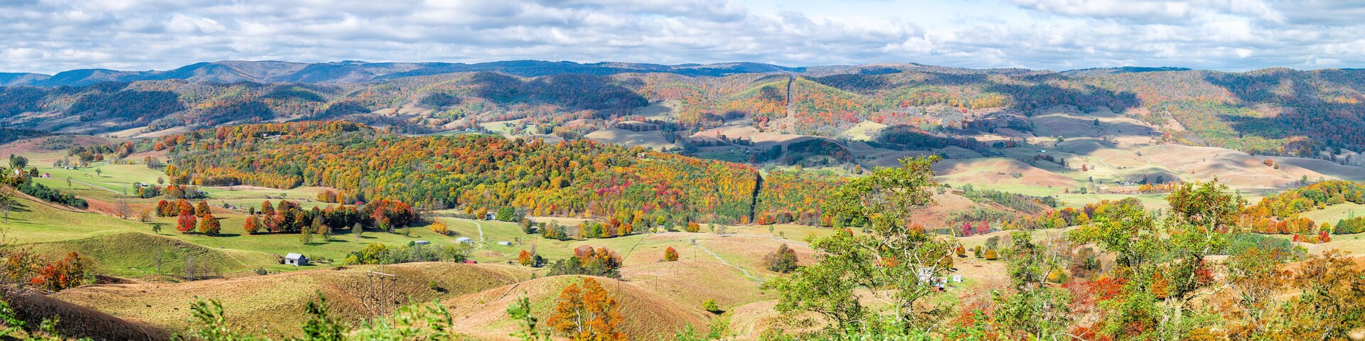 Colorful fall maple trees and farm house land rolling hills aerial above high angle view landscape panorama in Blue Grass, Highland County, Virginia