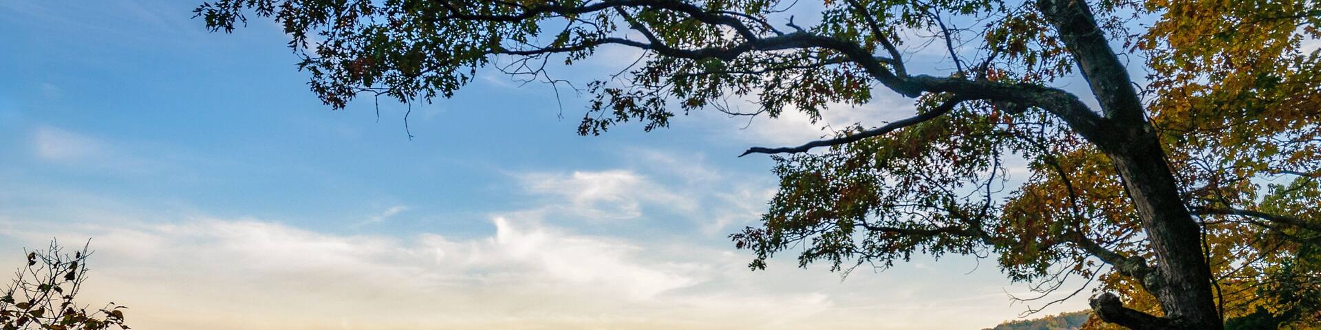 Morning Autumn Overlook of the Green River at Mammoth Cave National Park