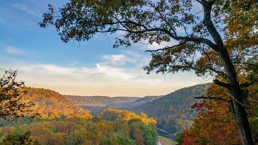Morning Autumn Overlook of the Green River at Mammoth Cave National Park