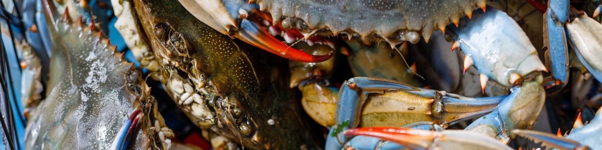 blue crab at the local fish market