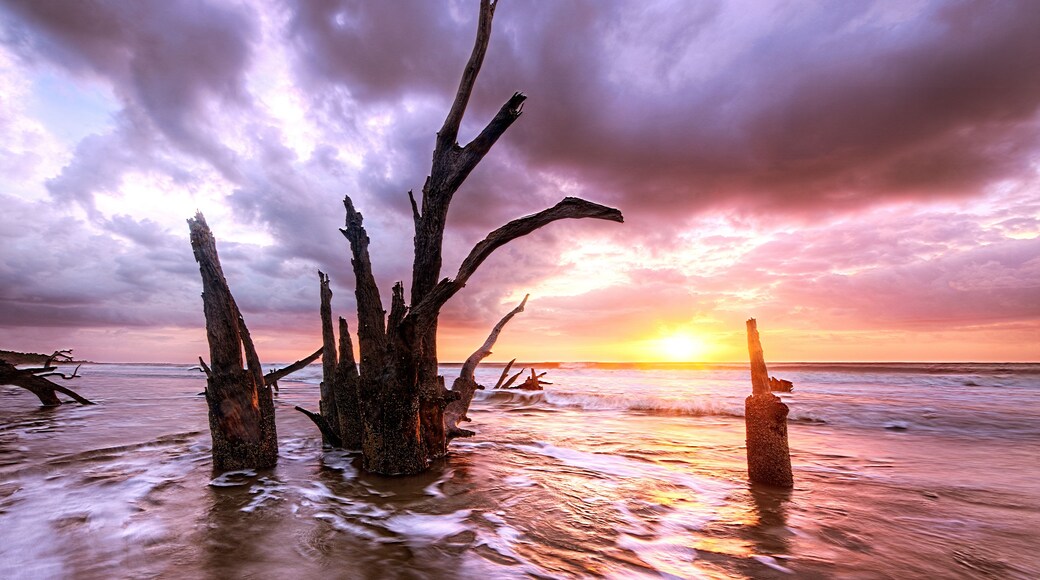 Un coucher de soleil sur l’océan, avec un groupe de morceaux de bois flotté dans l’eau.