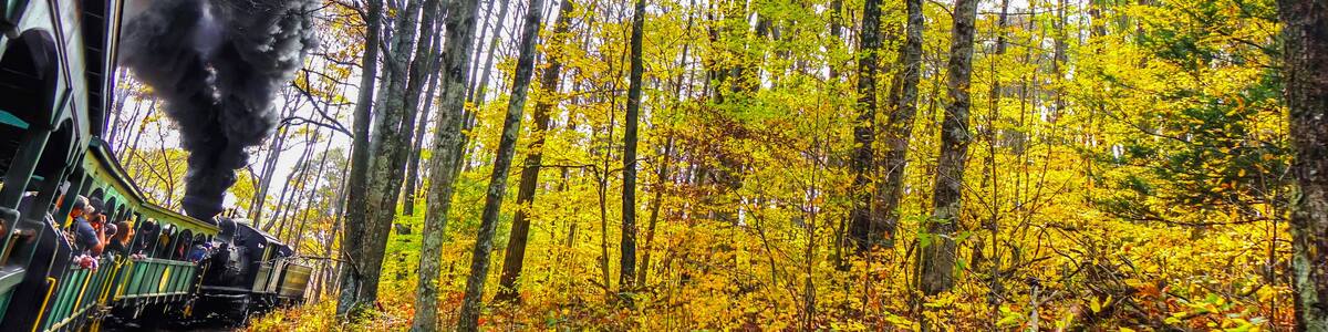 An old vintage train with thick black smoke making its way through the forest in West Virginia, with beautiful fall colors and foliage. Shot near Cass, WV, USA.