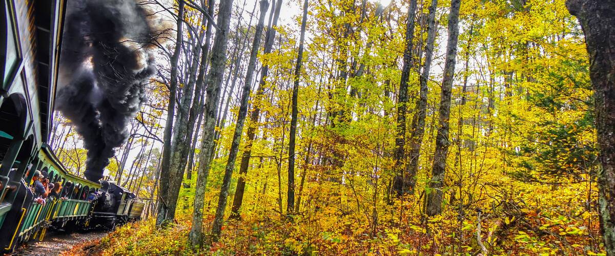 An old vintage train with thick black smoke making its way through the forest in West Virginia, with beautiful fall colors and foliage. Shot near Cass, WV, USA.