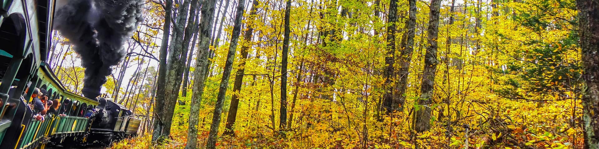 An old vintage train with thick black smoke making its way through the forest in West Virginia, with beautiful fall colors and foliage. Shot near Cass, WV, USA.
