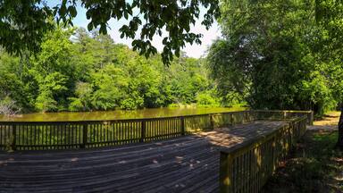 A wooden boardwalk curving around a pond, surrounded by dense green foliage and a metal bridge in the background.