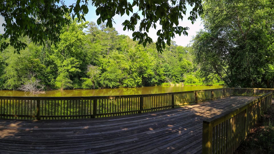 A wooden boardwalk curving around a pond, surrounded by dense green foliage and a metal bridge in the background.