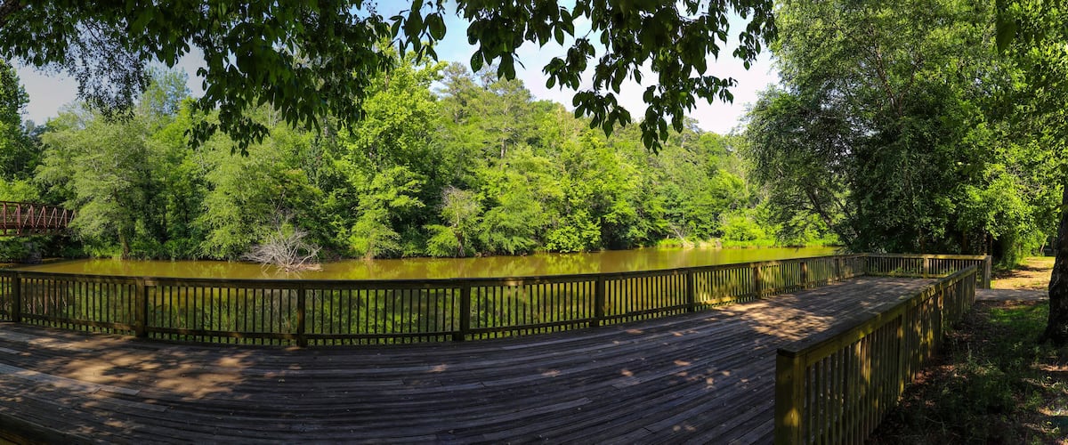 A wooden boardwalk curving around a pond, surrounded by dense green foliage and a metal bridge in the background.