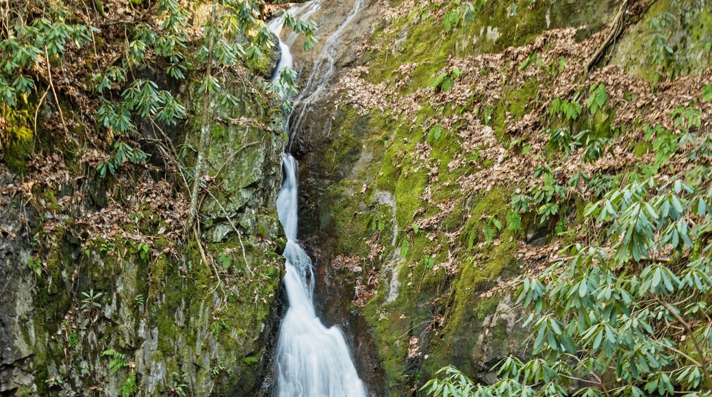 Backbone Falls