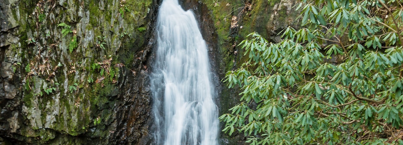 Backbone Falls
