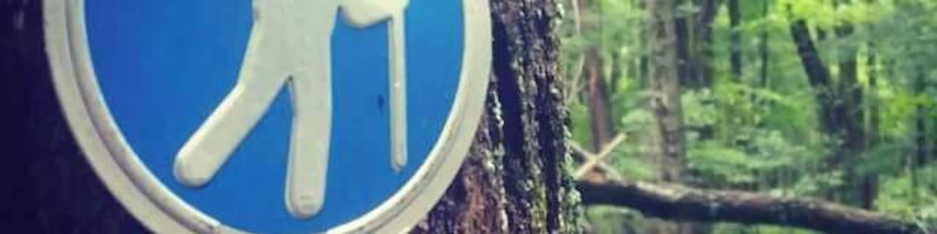 Yellowbank trails in Kentucky !! Several geocaches to hunt for !