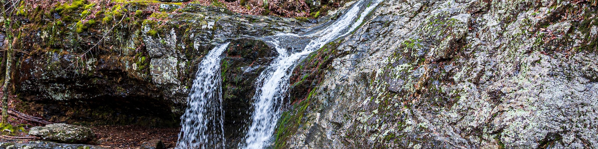 A waterfall cascading over moss-covered rocks in a forested area.