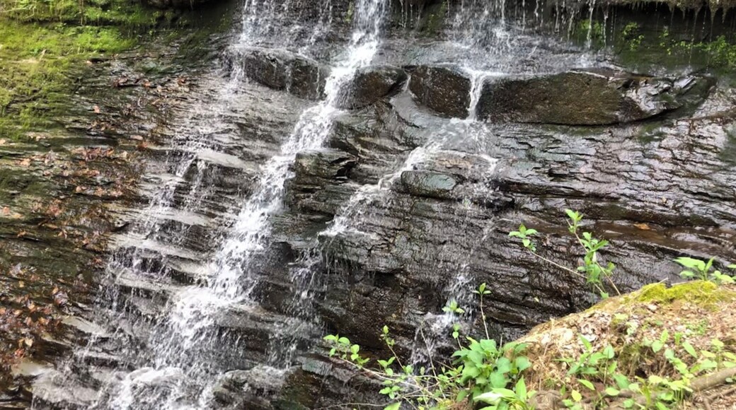 Beautiful drive in Tennessee