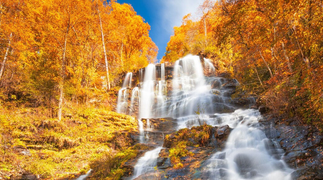 Amicalola Falls, Georgia, USA in Autumn