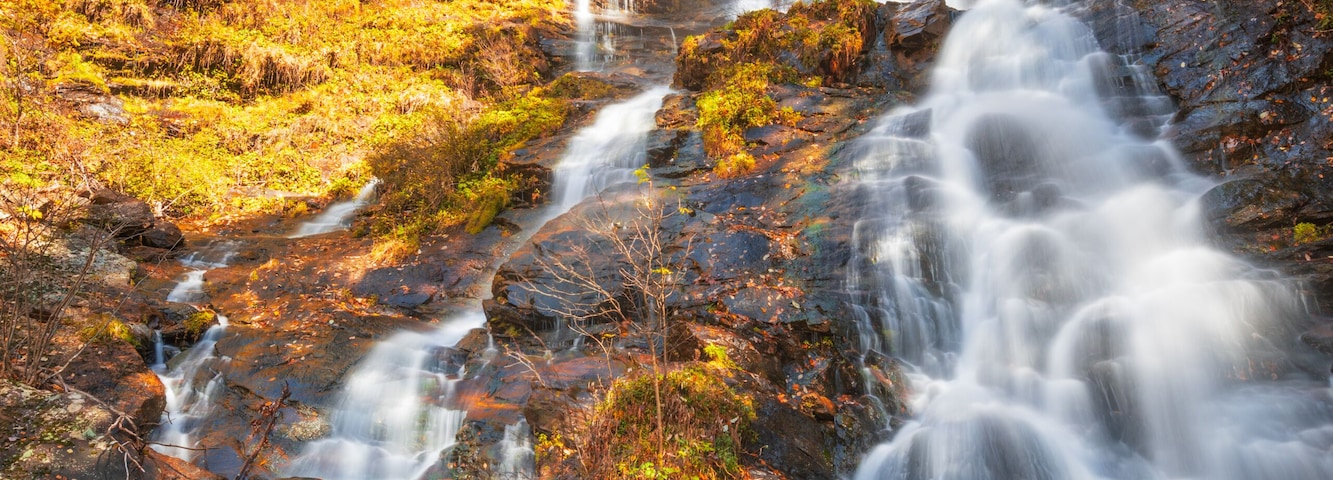 Une cascade d’eau qui dévale des rochers au cœur d’une forêt où les arbres arborent les couleurs de l’automne.