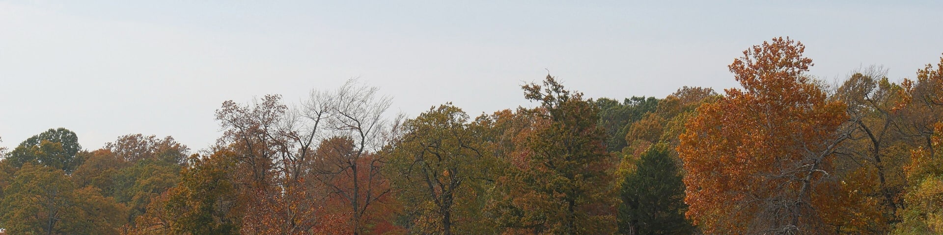 Medium closeup of a lakeside view at Eufala Lake with autumn colors in the trees on a cold cloudless morning