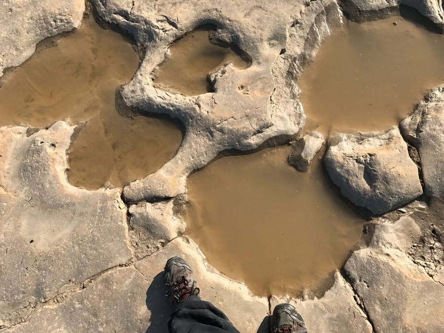 Have you ever walked in the footsteps of giants? Visit Picketwire Canyon south La Junta, Colorado for a hike back through time among the largest expanse of dinosaur tracks in the world. #TakeAHike #hike #colorado