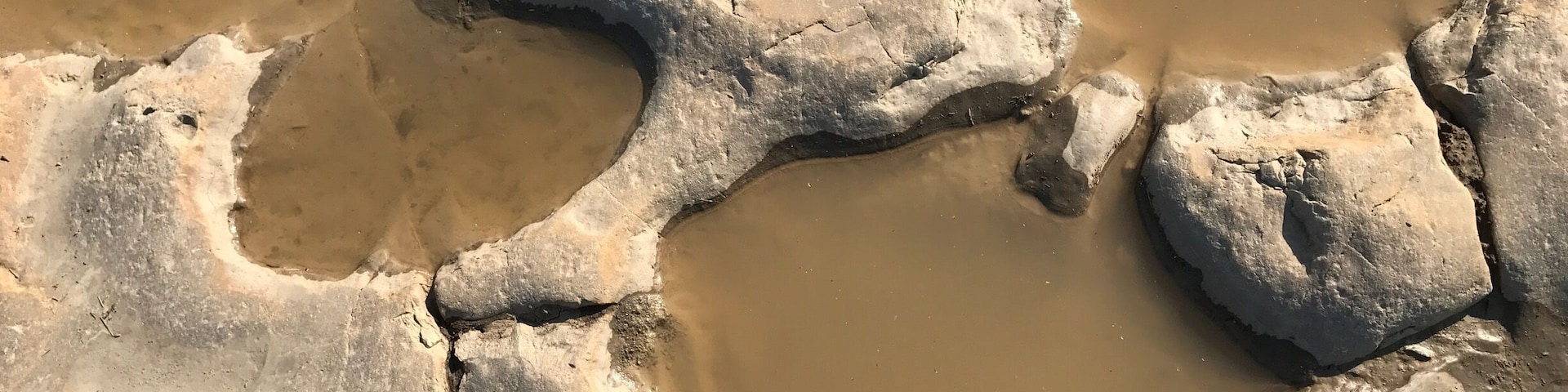 Have you ever walked in the footsteps of giants? Visit Picketwire Canyon south La Junta, Colorado for a hike back through time among the largest expanse of dinosaur tracks in the world. #TakeAHike #hike #colorado