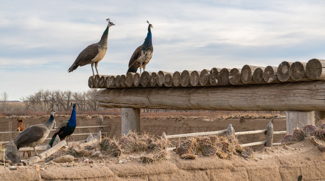 Bent's Old Fort National Historic Site, Colorado