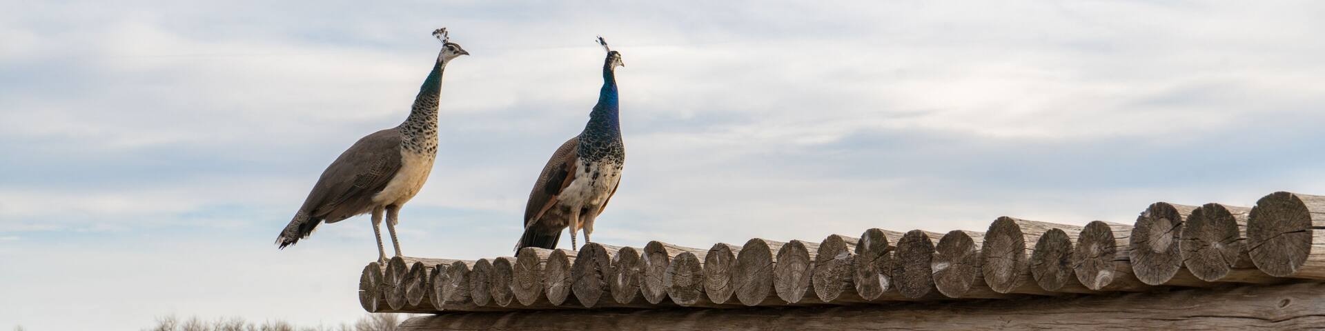 Bent's Old Fort National Historic Site, Colorado