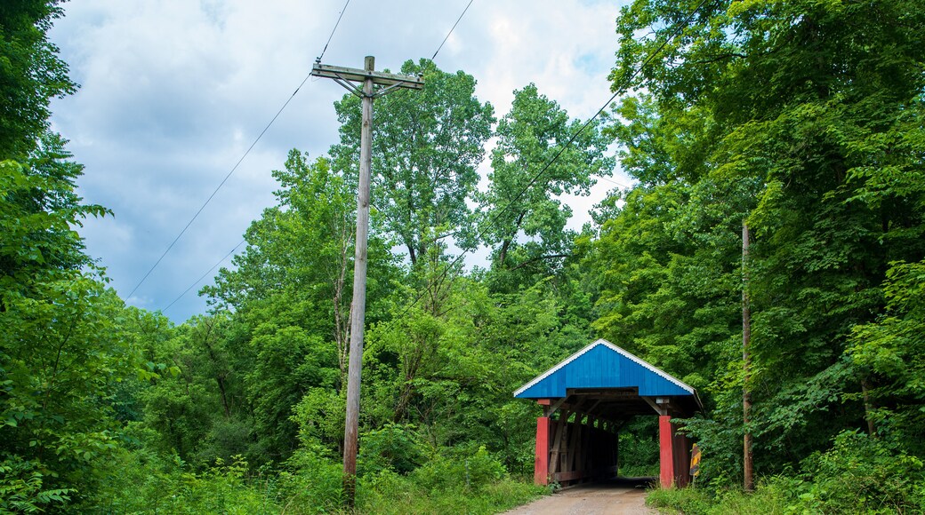 Jack's Hollow Covered Bridge in Perry County, Ohio