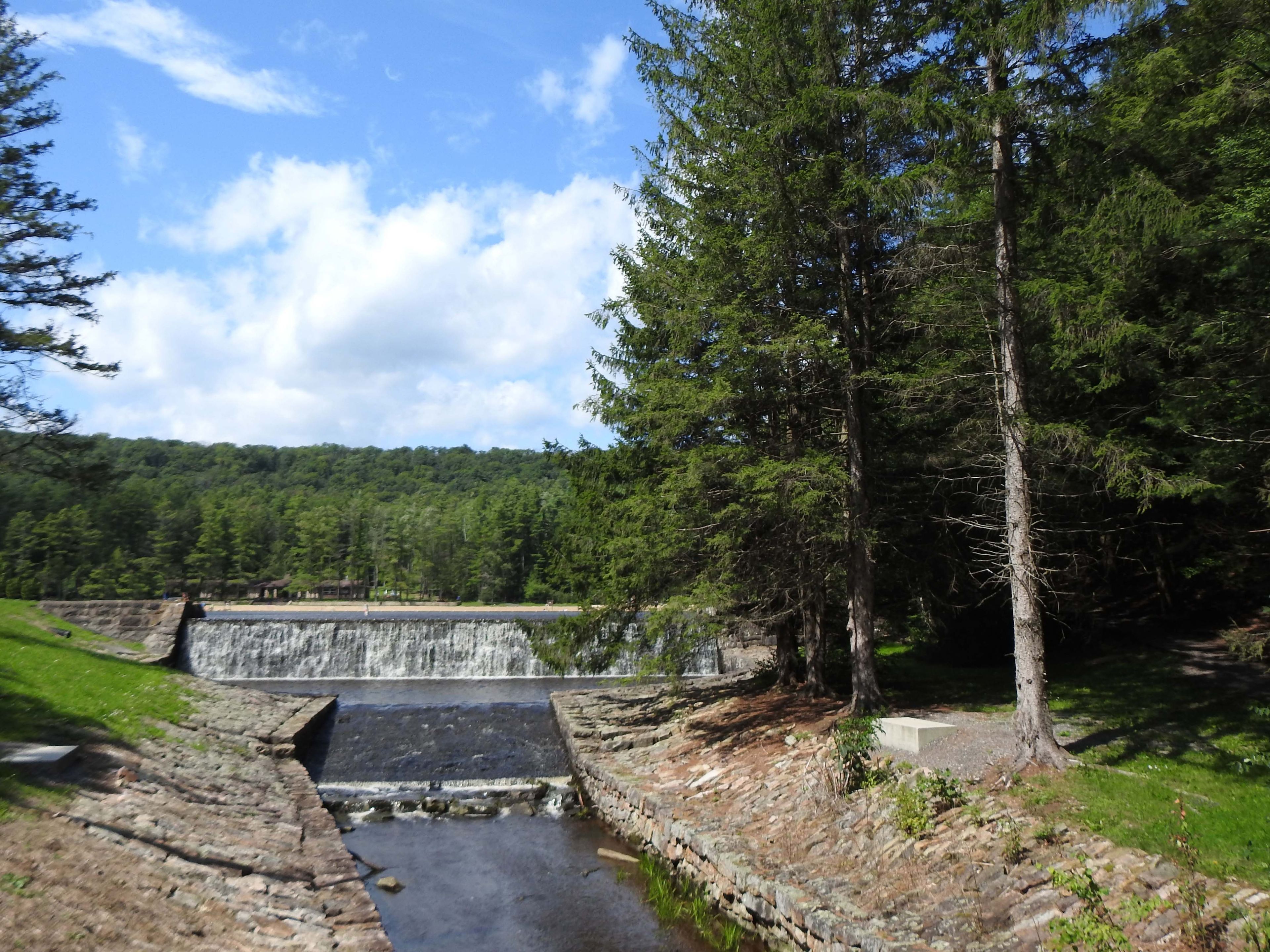 A waterfall, a stone bridge, and a forested area.