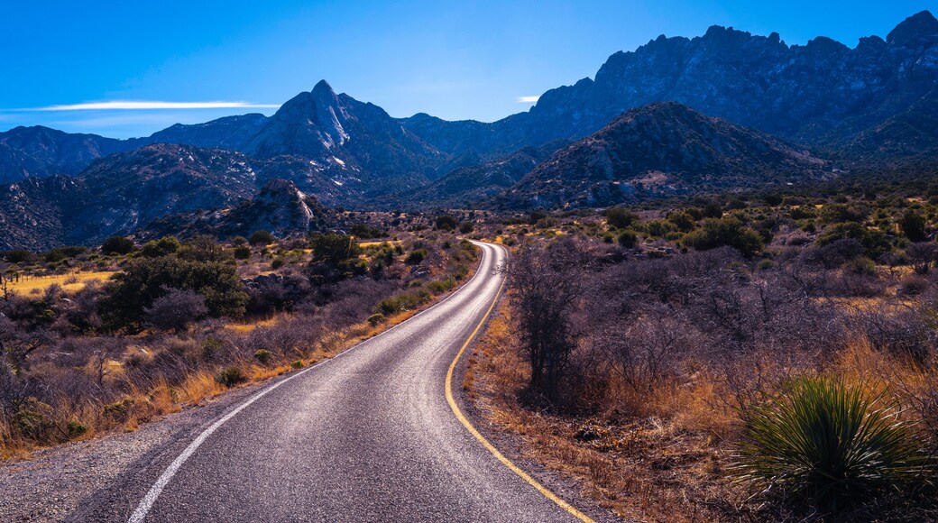 Organ Mountains, Desert Peaks National Monument in Las Cruces, Doña Ana County, New Mexico, Southwestern USA, curved single lane paved road to Sugarloaf Peak through arid desert valley meadow at dusk.