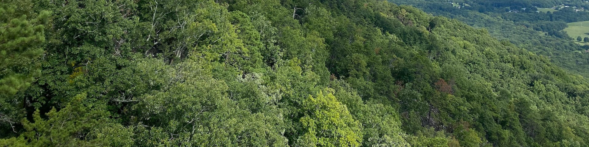 A mountainous landscape with dense forest, rocky cliffs, and a distant view of the horizon.