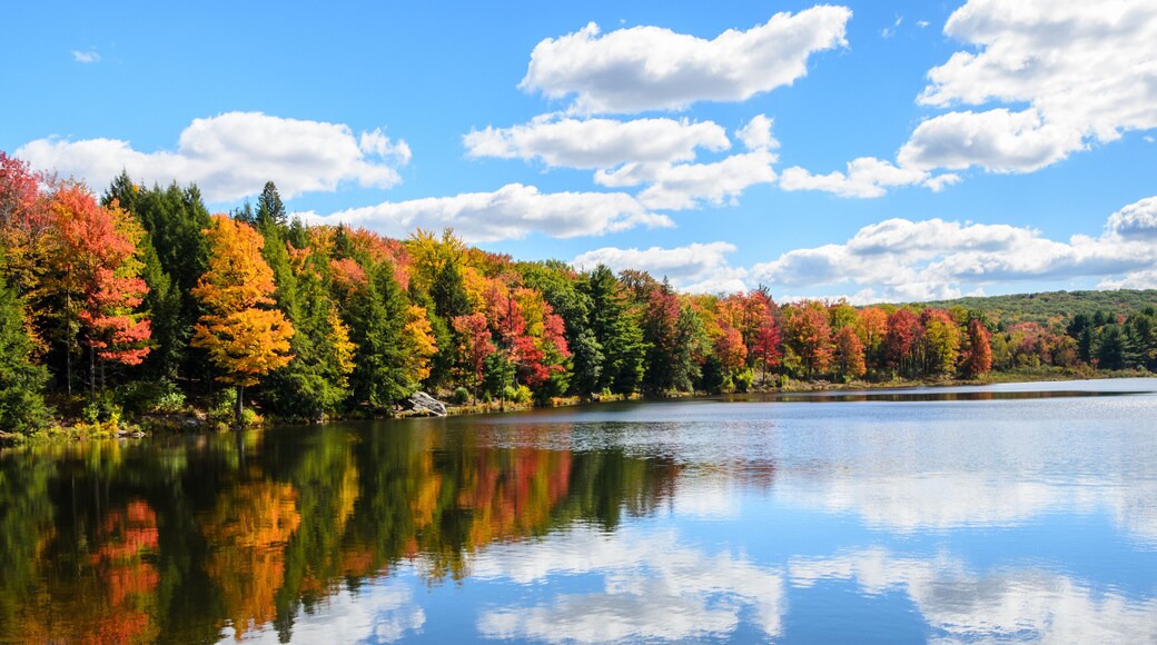 Parker Dam State Park