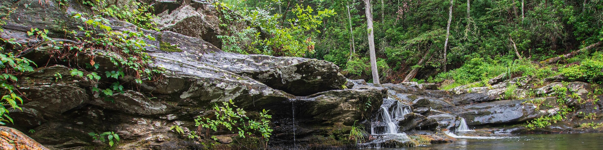 Scenic View Devil's Den